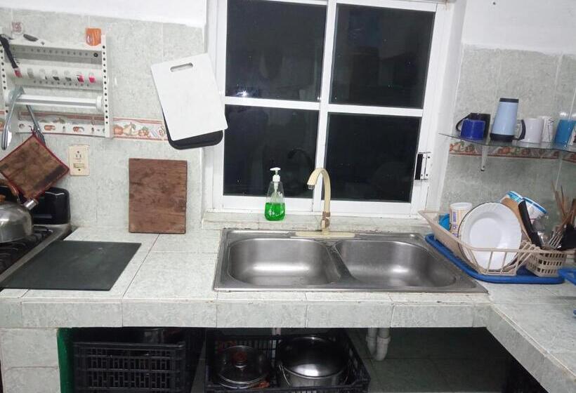 بنسيون Divershostalcozumel