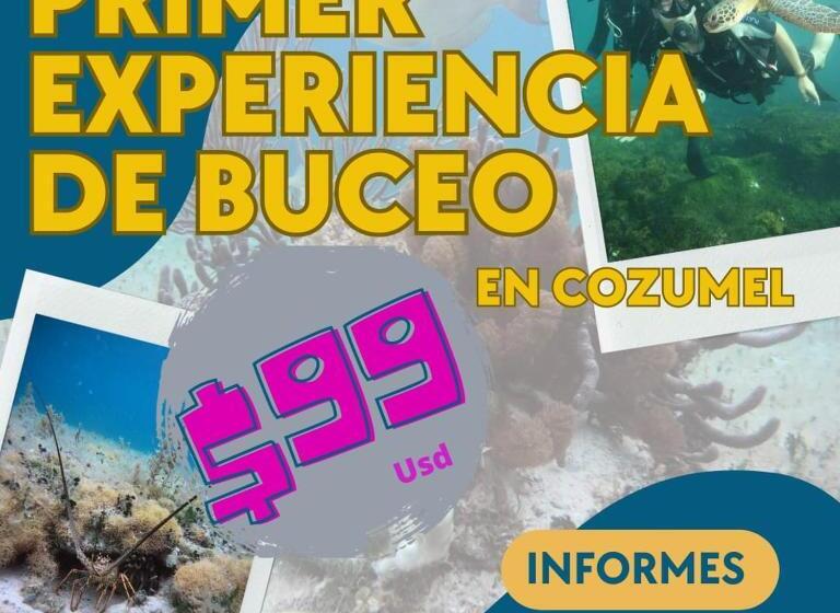 بنسيون Divershostalcozumel
