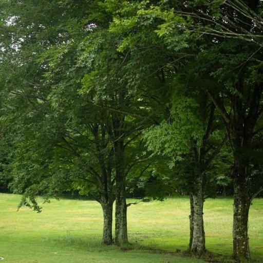 Ryokan グランピングヴィレッジ富士河口湖