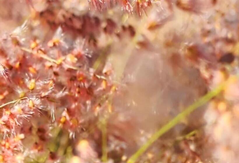 צימר Upgraded   360 Degrees Corporate Stay