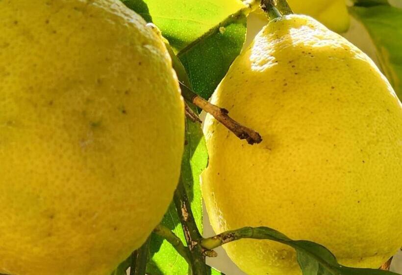 مبيت وإفطار Upgraded   360 Degrees Corporate Stay