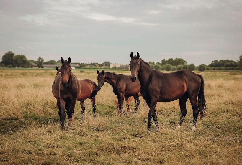 酒店 Hajé Nieuwegein