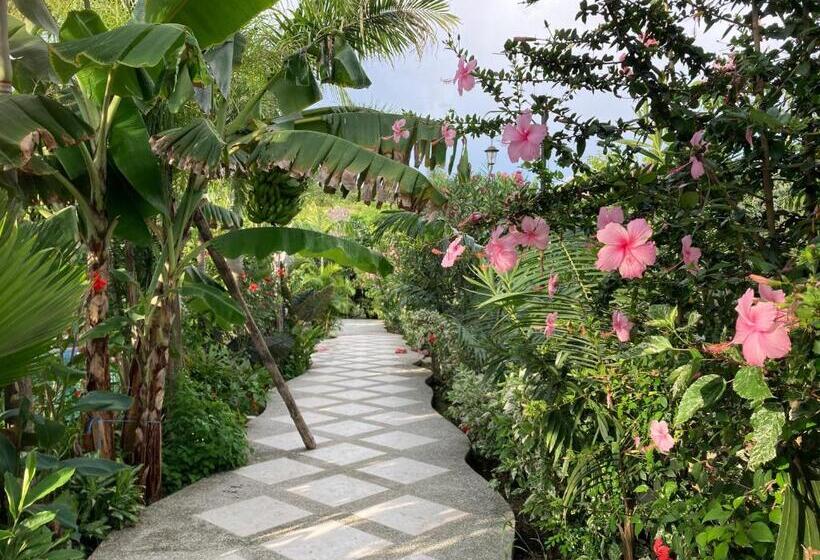 Отель La Costa Salango