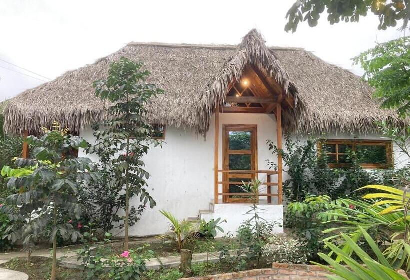 Отель La Costa Salango