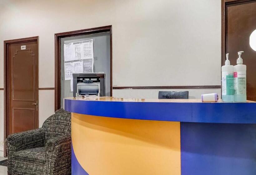 Oyo Hotel City Palace