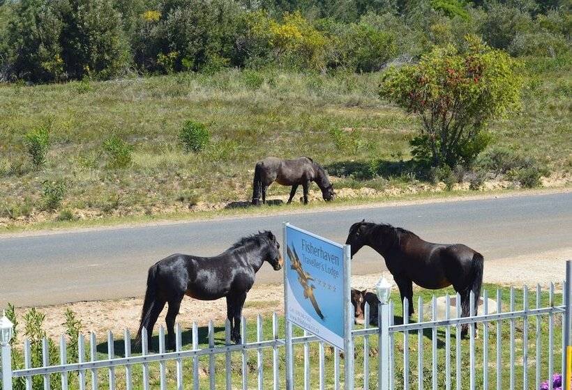 Общежитие Fisherhaven Travellers Lodge