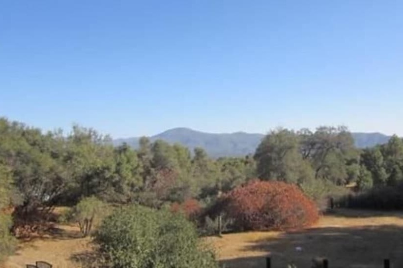 住宿加早餐  Apple Blossom Inn