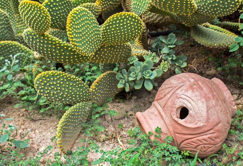 Esperides Stone Houses