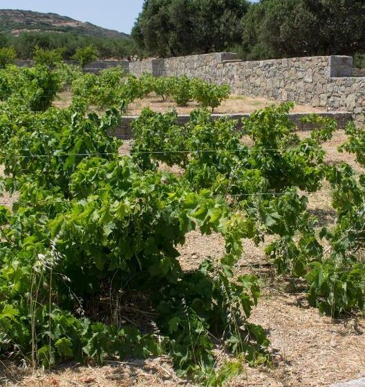 Esperides Stone Houses