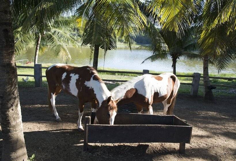 Fazenda Fiore Resort