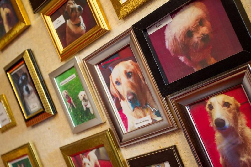 בית מלון כפרי Bagden Hall