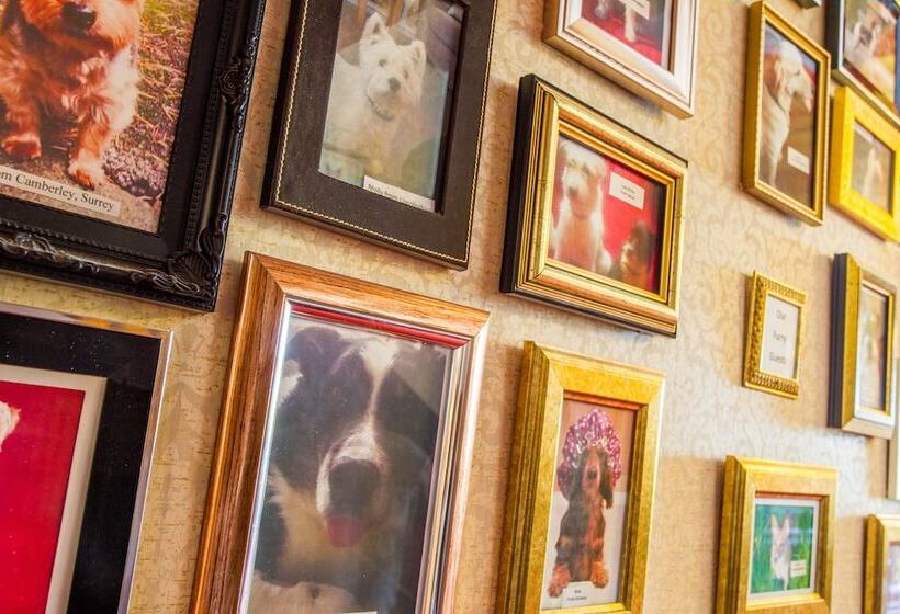 בית מלון כפרי Bagden Hall