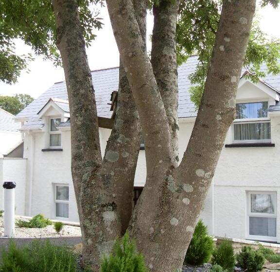 בית מלון כפרי Beggars Reach