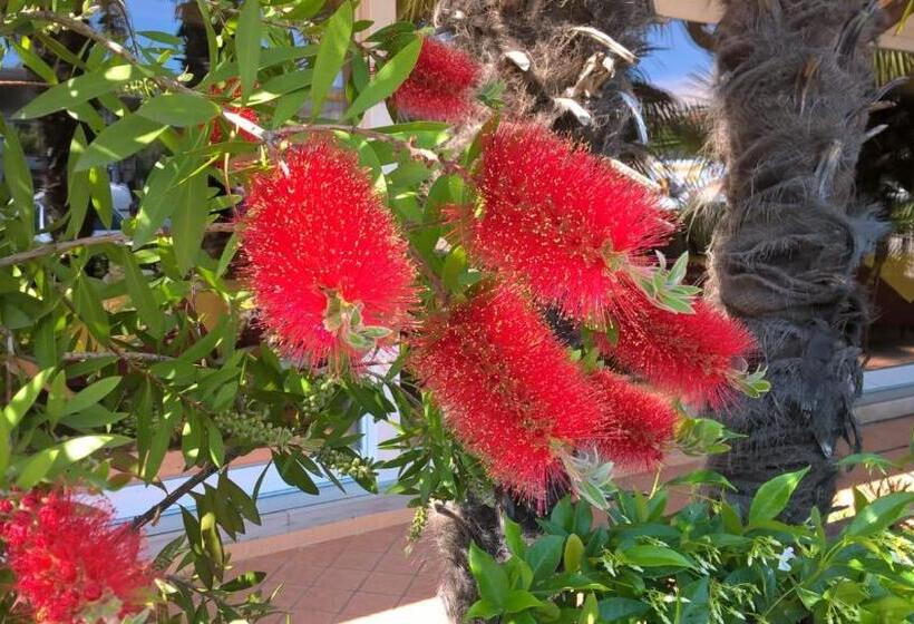 בית מלון כפרי Bologna