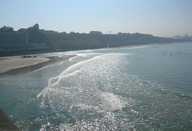 فندق Carlina Lodge