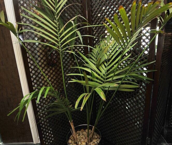 Отель Center Ville