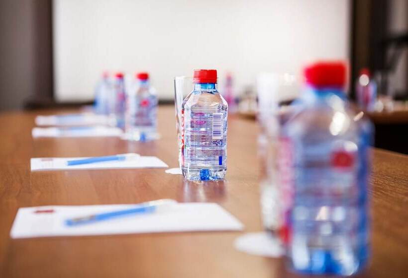 בית מלון כפרי City & Business