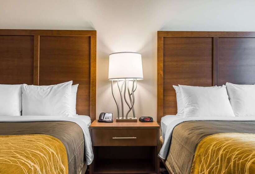 فندق Comfort Inn & Suites Valdosta