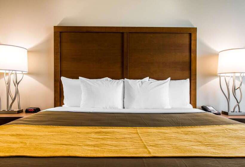 فندق Comfort Inn & Suites Valdosta