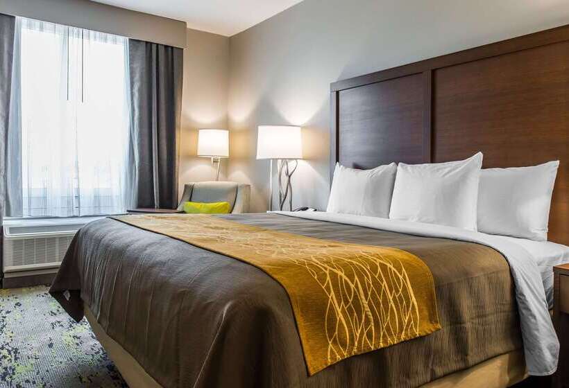فندق Comfort Inn & Suites Valdosta