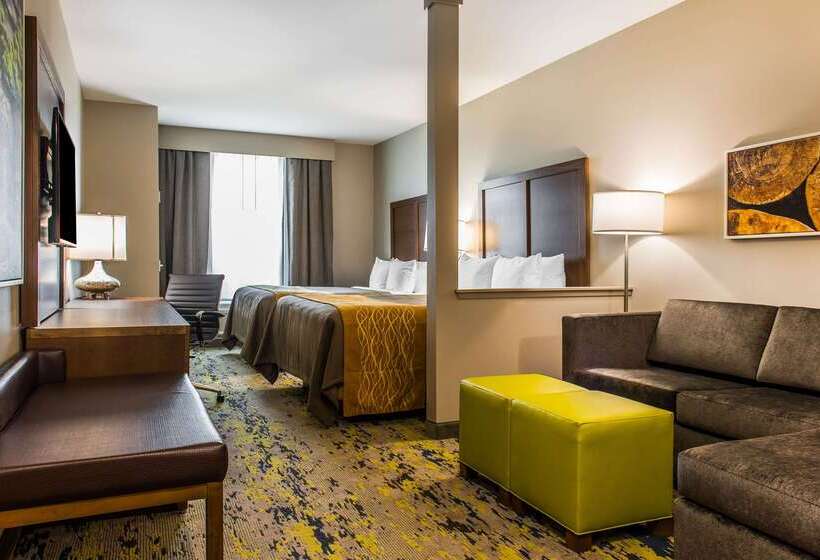 فندق Comfort Inn & Suites Valdosta