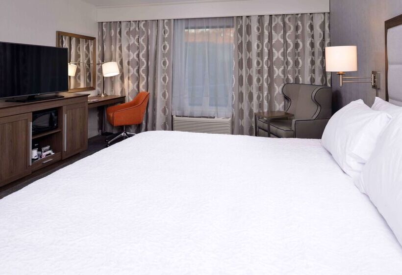 فندق Hampton Inn & Suites Albanyeast Greenbush
