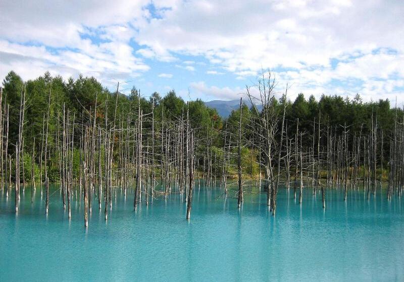 בית מלון כפרי Hoshino Resorts Tomamu The Tower