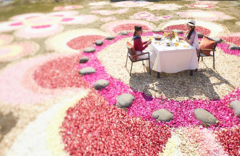 בית מלון כפרי Hoshino Resorts Tomamu The Tower