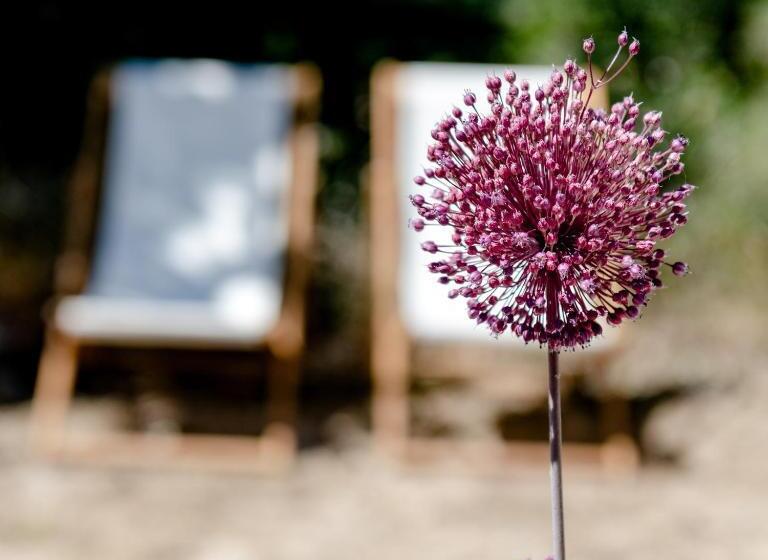 ホテル Hôtel Les Volets Rouges  Cassis