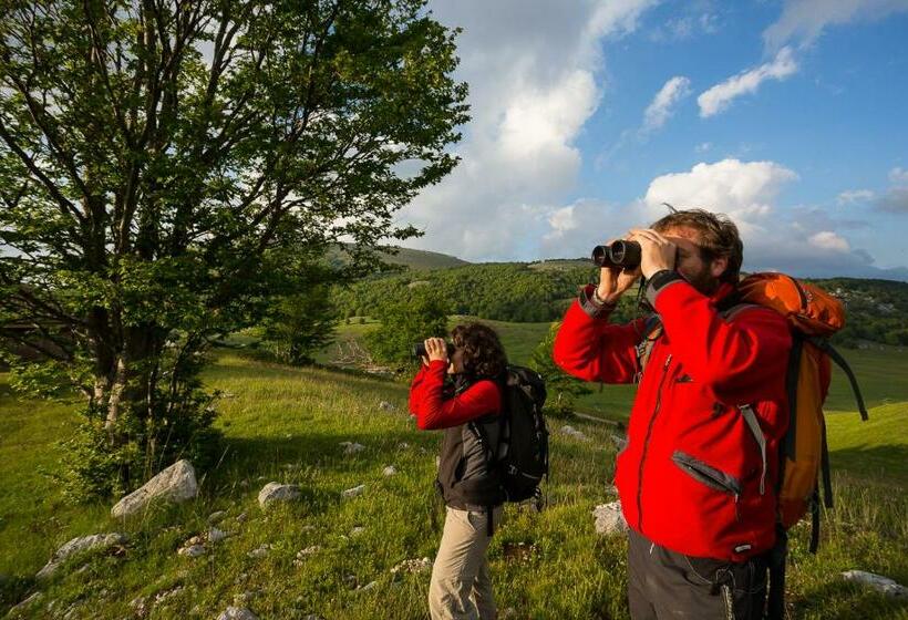 בית מלון כפרי Iris