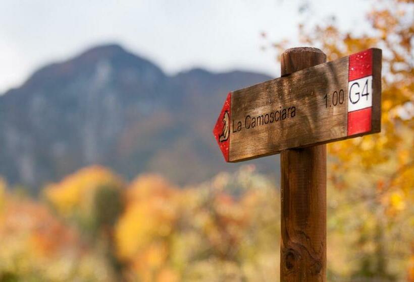 בית מלון כפרי Iris