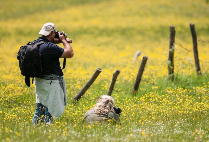 בית מלון כפרי Iris