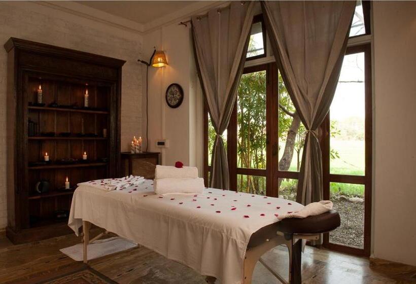 فندق Jim S Jungle Retreat