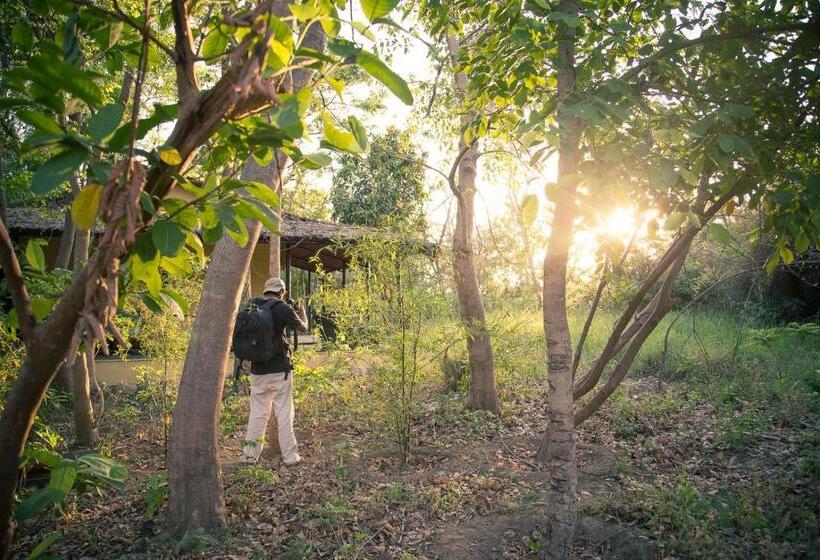 فندق Jim S Jungle Retreat