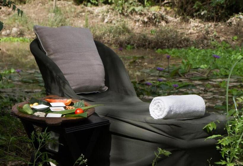 فندق Jim S Jungle Retreat