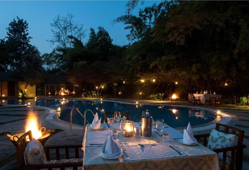 فندق Jim S Jungle Retreat