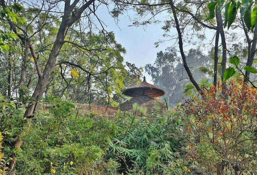 בית מלון כפרי Jim S Jungle Retreat