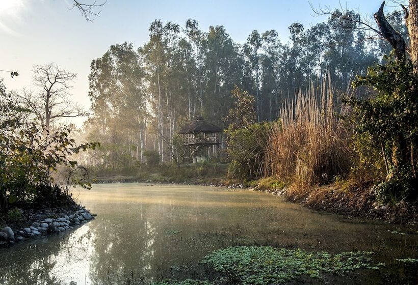 בית מלון כפרי Jim S Jungle Retreat