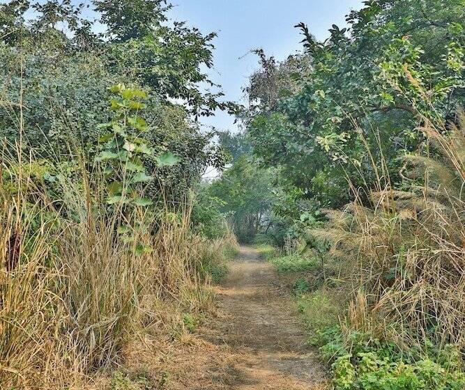 فندق Jim S Jungle Retreat