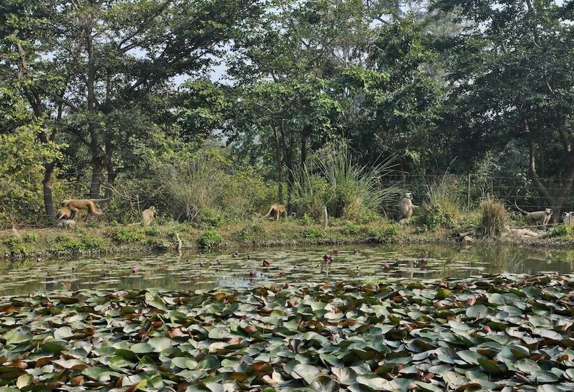 فندق Jim S Jungle Retreat