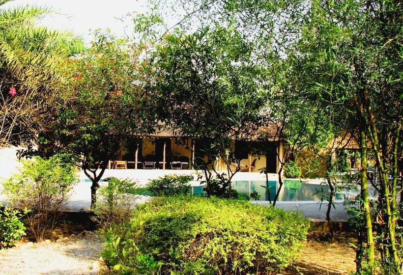 فندق Jim S Jungle Retreat