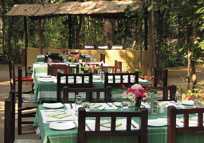 Отель Kanha Jungle Lodge