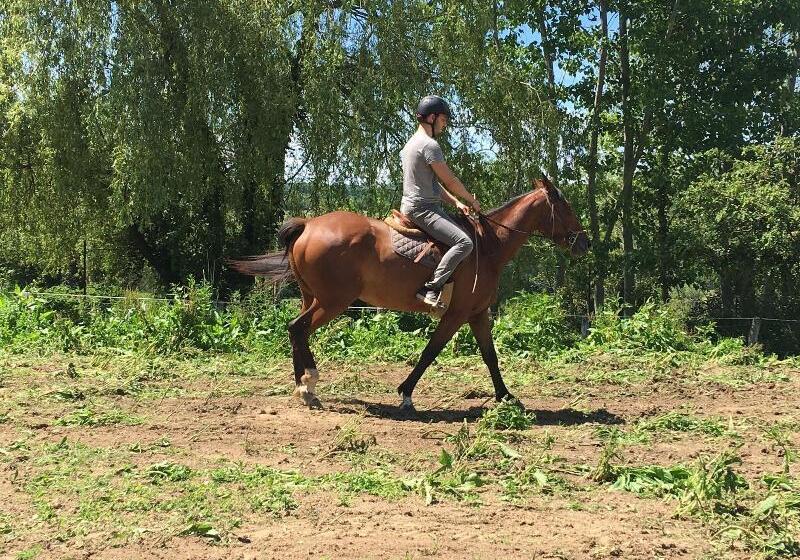 호텔 La Bastie D Urfe