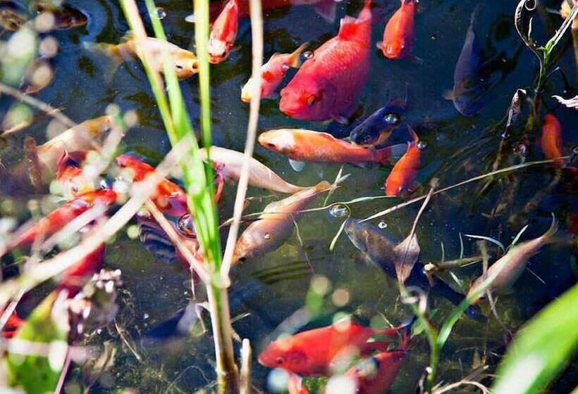 ホテル Landgasthof Rossle Beim Krauterwirt