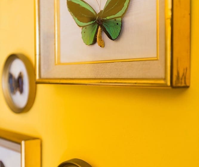 Отель Le Jardin D'emile