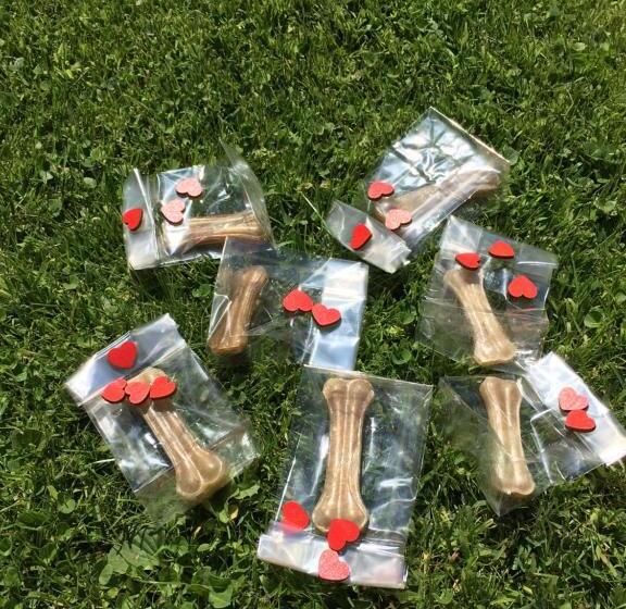 Отель Mar Del Plata