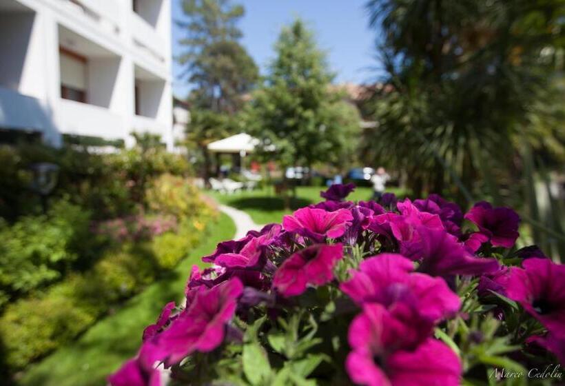 Отель Mar Del Plata