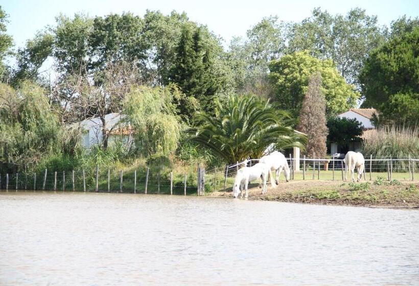 酒店 Mas Des Barres