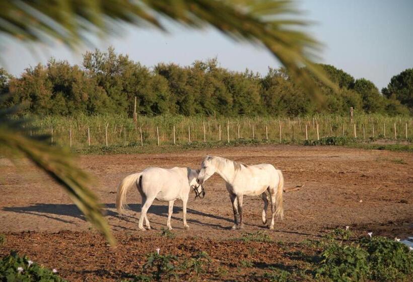 酒店 Mas Des Barres