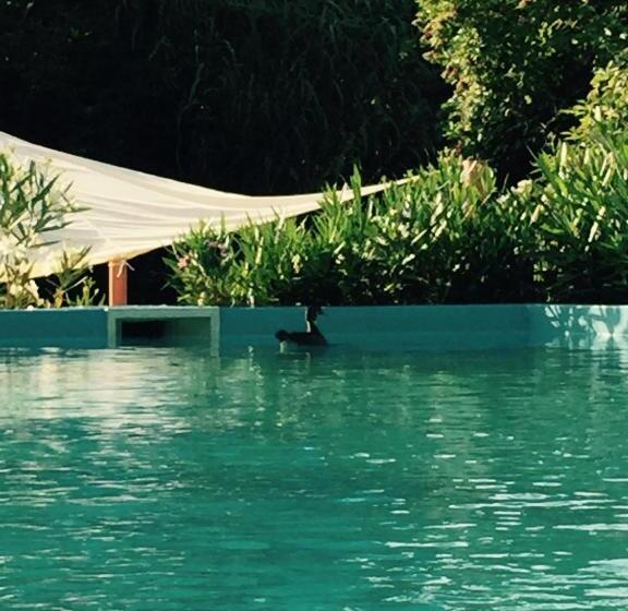 酒店 B&b Mas Torrencito Pet Friendly